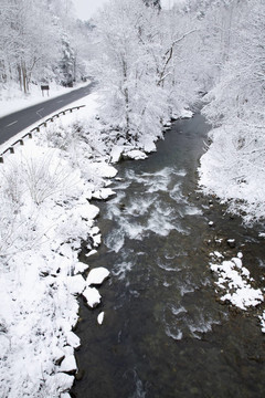 雪景；鴿子河；東田納西