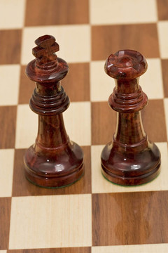 國(guó)際象棋