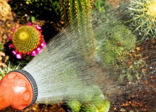 花園水管灑水