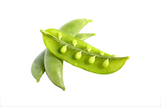 豌豆
