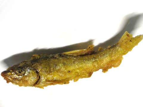 油炸小魚特寫