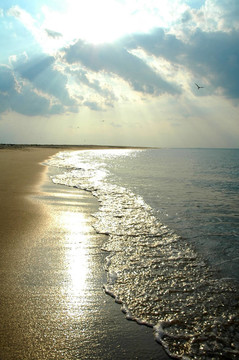 海灘的海岸線