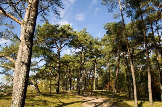 soesterduinen