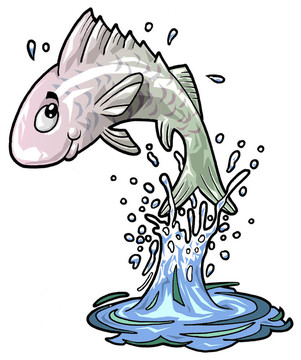 可愛的魚從水里跳下來