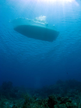 鱷魚島潛水船在礁石上