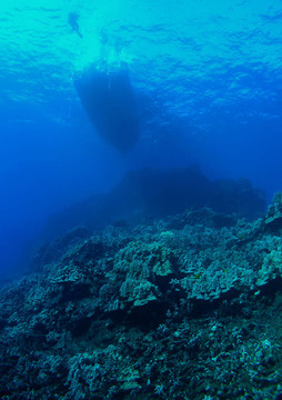 潛水員船和Reef