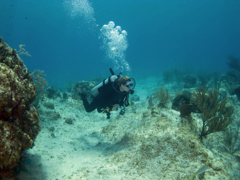 潛水員在開曼島游泳
