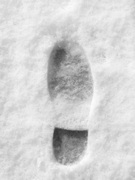 雪中的腳印