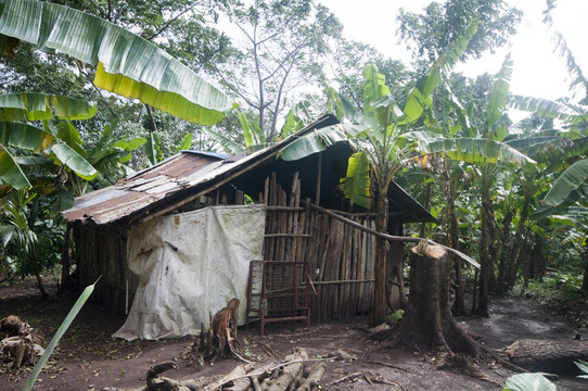 典型住宅尼加拉瓜玉米島