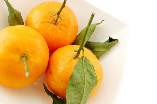 Tangerine夜店