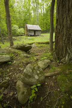 Jim Bales Place；種類(lèi)；大煙山脈NP；TN