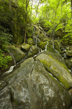 Cliff Branch Falls；大煙山脈NP；TN