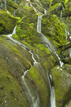 Cliff Branch Falls；大煙山脈NP；TN