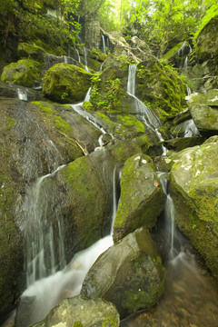 Cliff Branch Falls；大煙山脈NP；TN