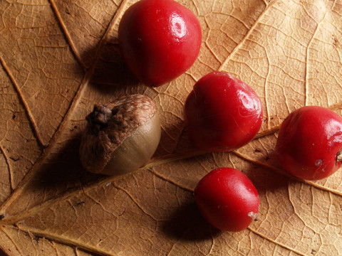 還有生活：紅色的水果和堅果