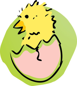小雞