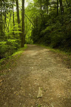 校舍缺口的痕跡；彈簧；大煙山脈NP