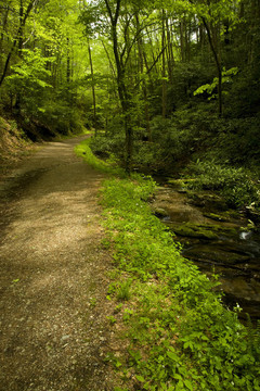校舍缺口的痕跡；彈簧；大煙山脈NP