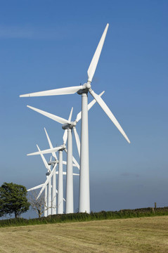 約克郡風電場
