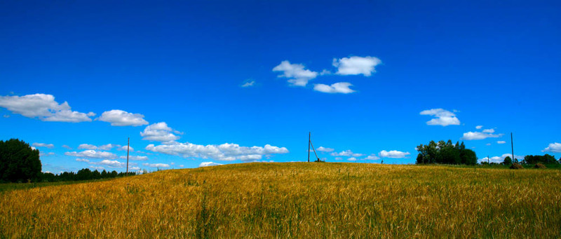 全景