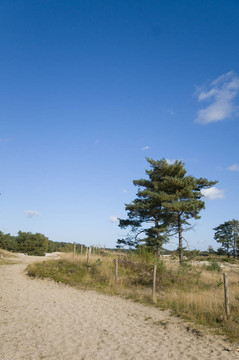 soesterduinen