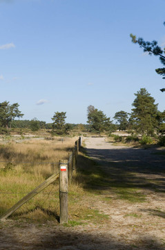 soesterduinen