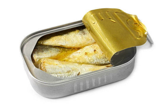 可以沙丁油魚