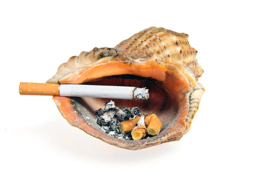 在貝殼煙灰缸煙蒂