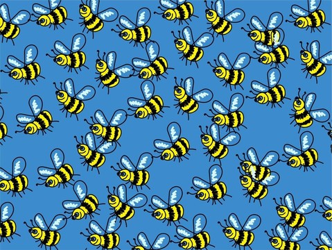 蜜蜂壁紙