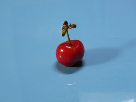 櫻桃