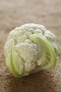 菜花