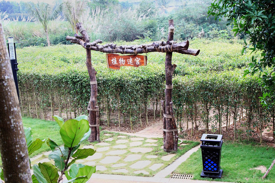 植物迷宮