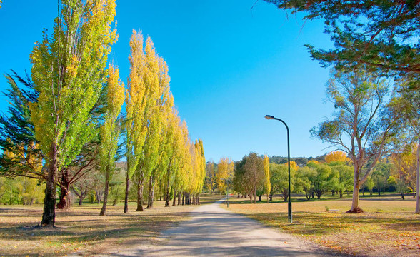 穿過公園的小路