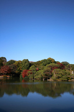 秋天花園藍(lán)天