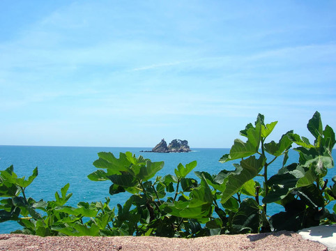 海島在海上的綠葉
