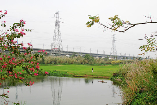 湖景高鐵鐵路