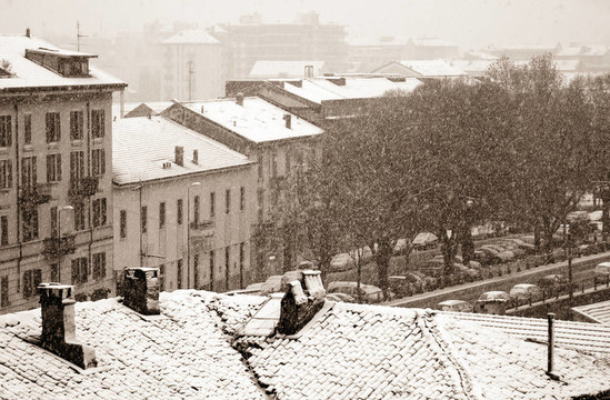 城市的雪