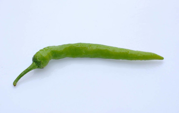 青椒