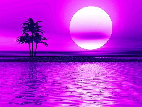 棕櫚樹景觀