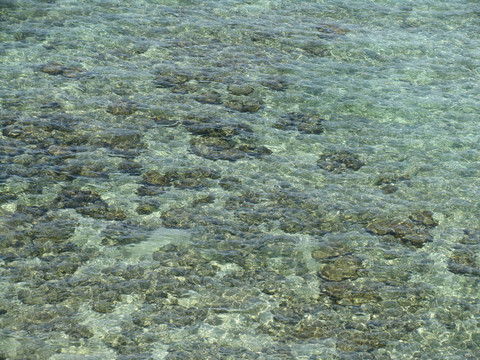 查看一個很好的海灘