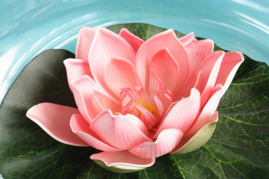 沃特利別墅