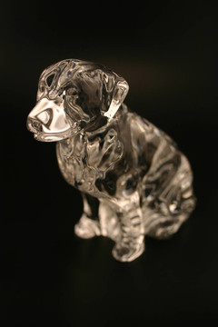 晶體的金毛獵犬