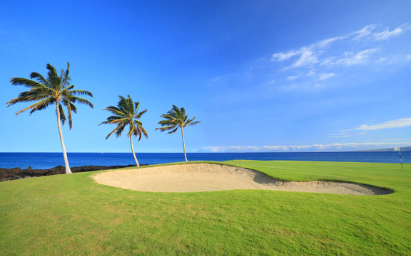 夏威夷高爾夫球場