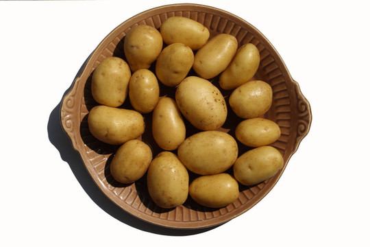 孤立的馬鈴薯