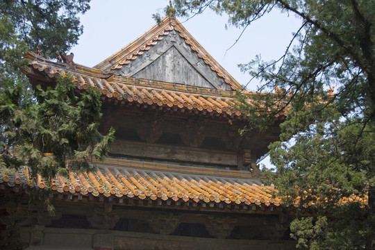 夫子廟