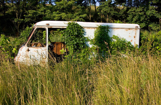 深草中的Rusty van