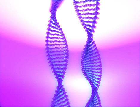 DNA 2
