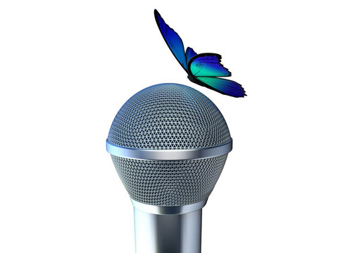 麥克風(fēng)和蝴蝶