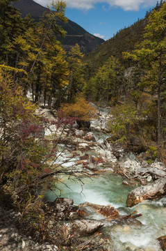 亞丁森林冰川河谷