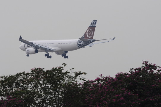 飛機(jī)